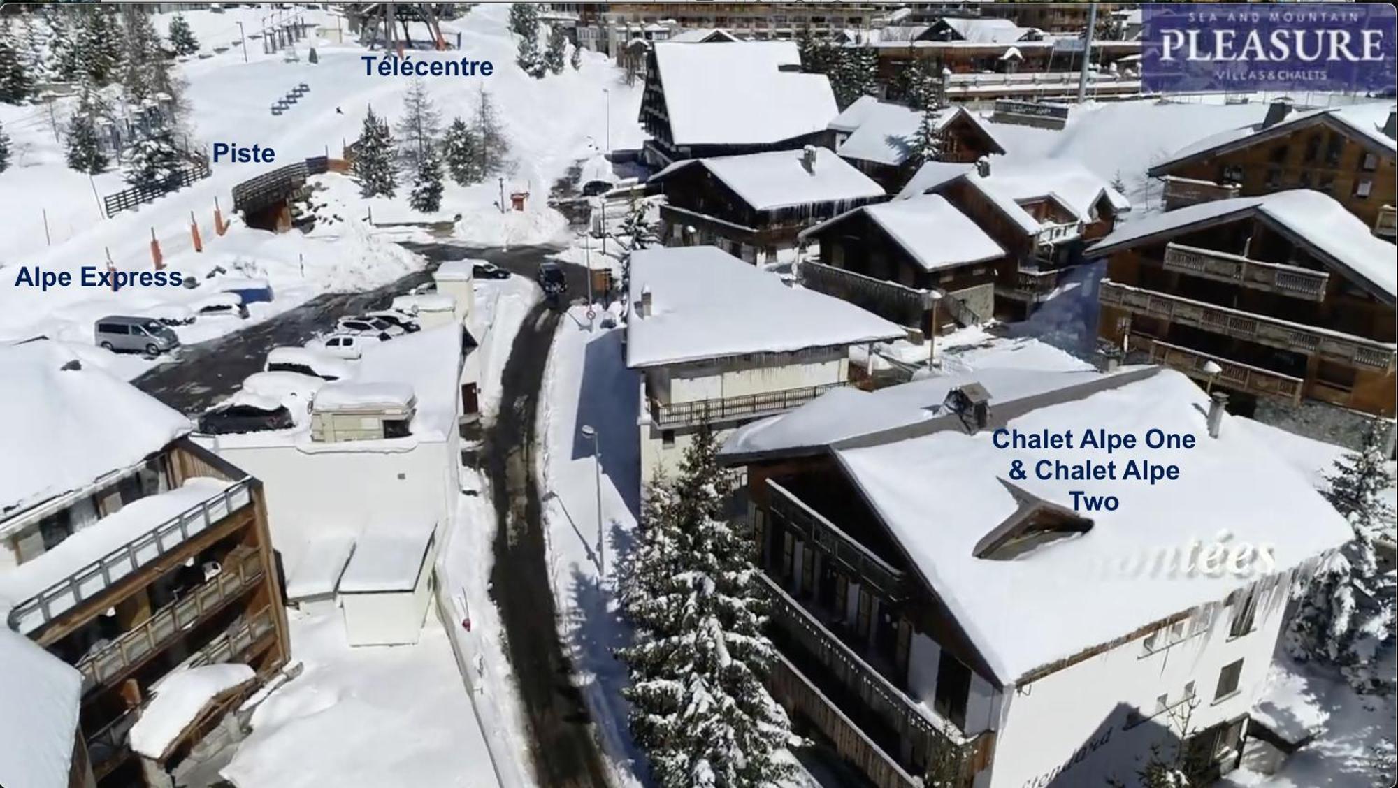 Chalet Alpe D'Huez 1850-Sea And Mountain Pleasure Avec 2 Appartements- 1 Appartement 3 Chambres 8 Couchages - 3 Salles D'Eau Et 1 Appartement 5 Chambres 12 Couchages 5 Salles D'Eau - Jacuzzi Et Sauna -Pieds Des Pistes Et Centre Eksteriør billede